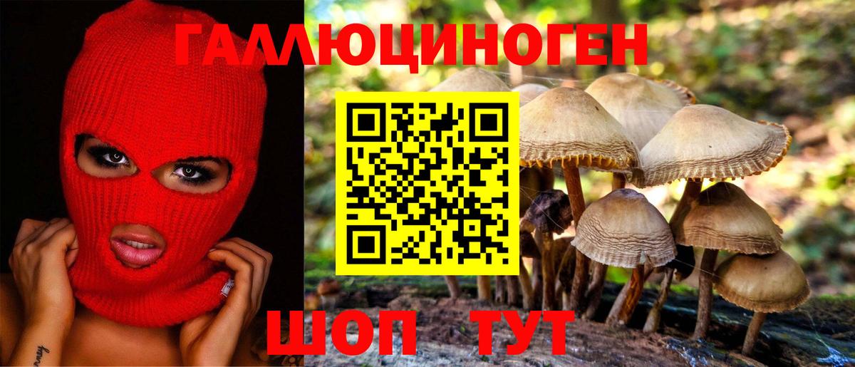 купить  сайты  Вход с VPN  Владикавказ  Псилоцибиновые грибы ЛСД 