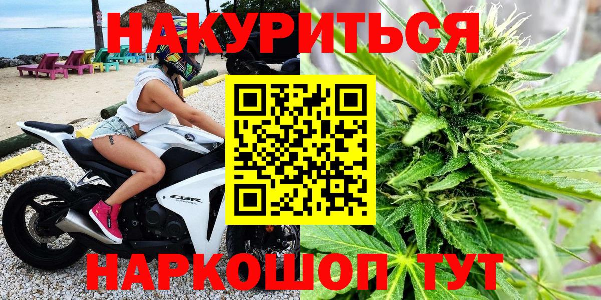 Бошки Шишки SATIVA & INDICA  Вход с VPN  Канабис White Widow  Владикавказ  Марихуана план  Шишки марихуана Ganja 